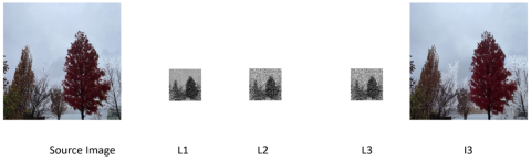 The image shows a picture of trees run through a "denoising" process. As a result of the process, some trees now have a significant amount of snow where, before, they had an insignificant amount of snow on them.